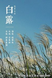 <b>露從今夜白，夜自此日涼！</b>